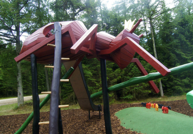 anthill_playground